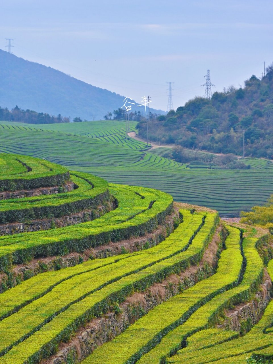 东钱湖福泉山景区攻略图片