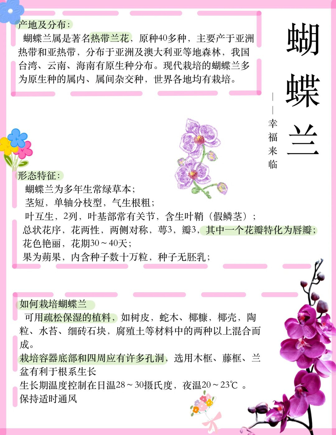 的资料介绍蝴蝶兰的特点100字蝴蝶兰的简介儿童画蝴蝶兰写实介绍