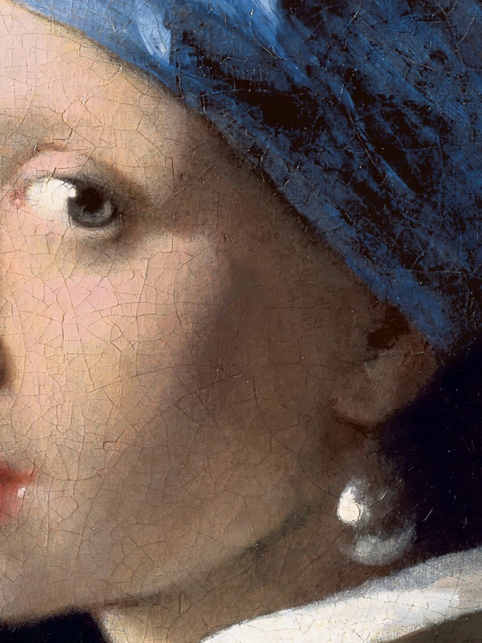 世界名画赏析《戴珍珠耳环的少女》|维米尔  🎨 维米尔的神秘美人