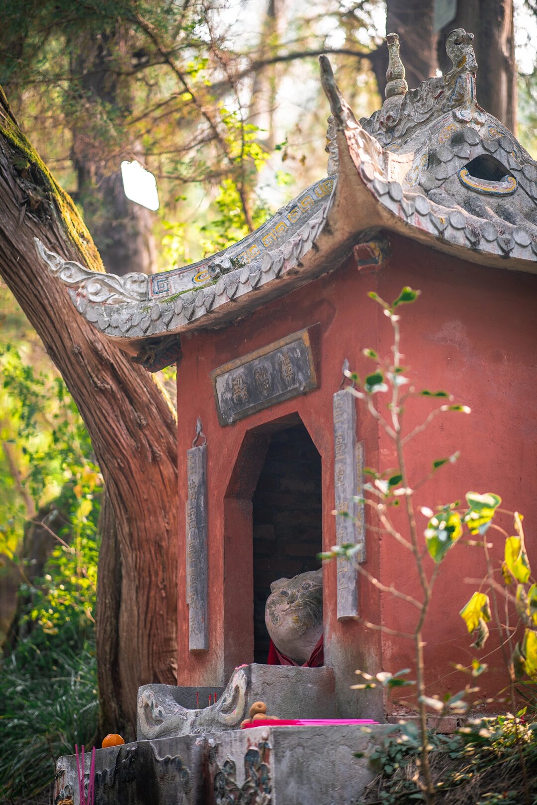 嘿,你知道四川的第二大道观在哪里吗?