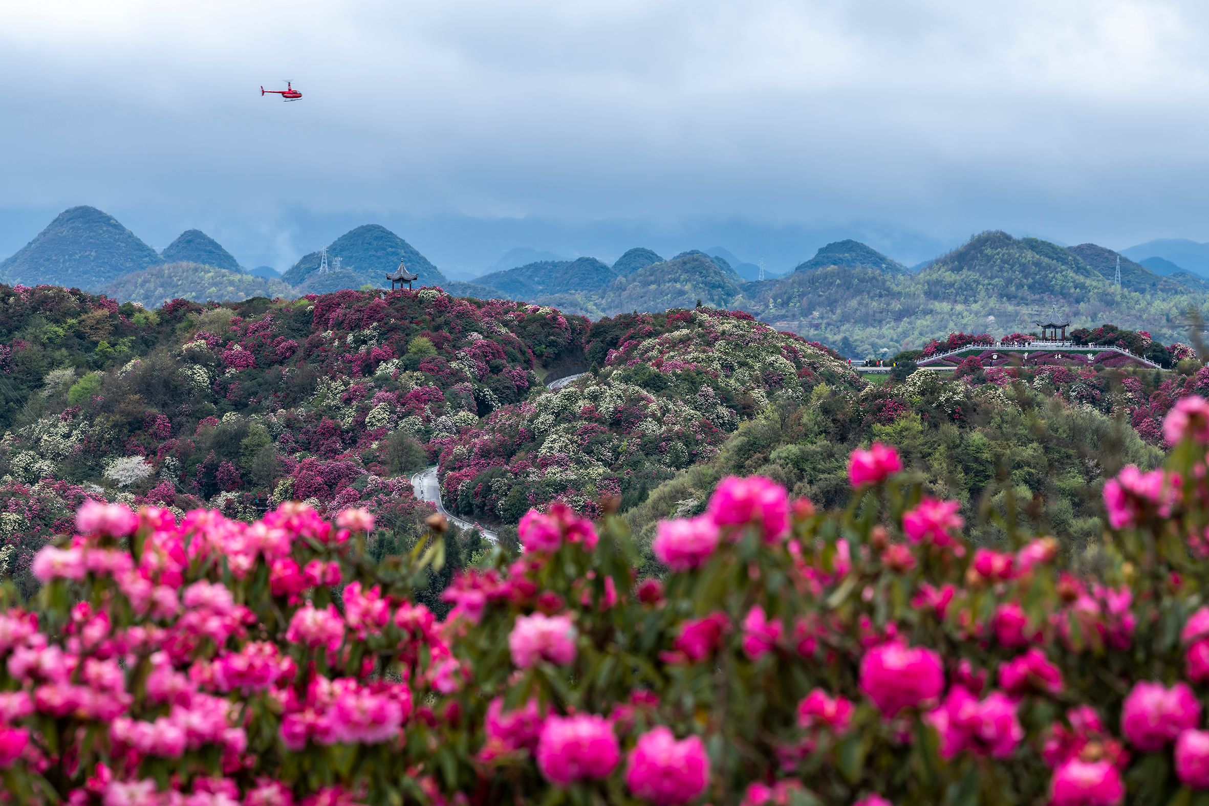 花林 连海站图片