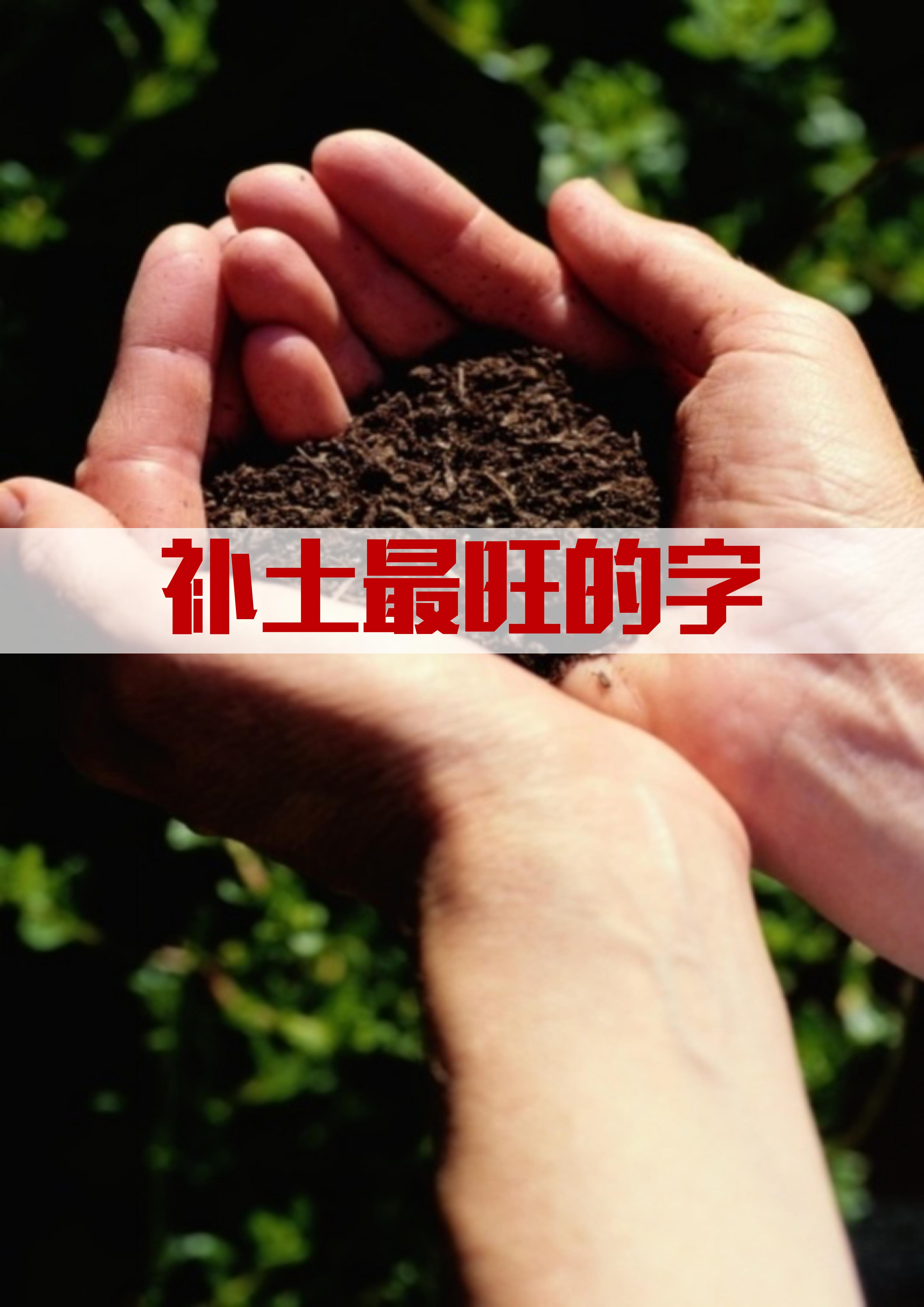 轩:意为高昂,气度不凡,寓意着高雅,荣贵. 2