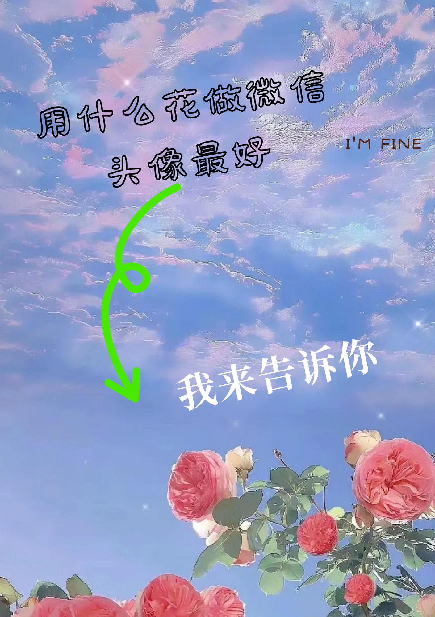 用什么花做微信头像最好 宝子们最合适做微信头像的花名给大家整理