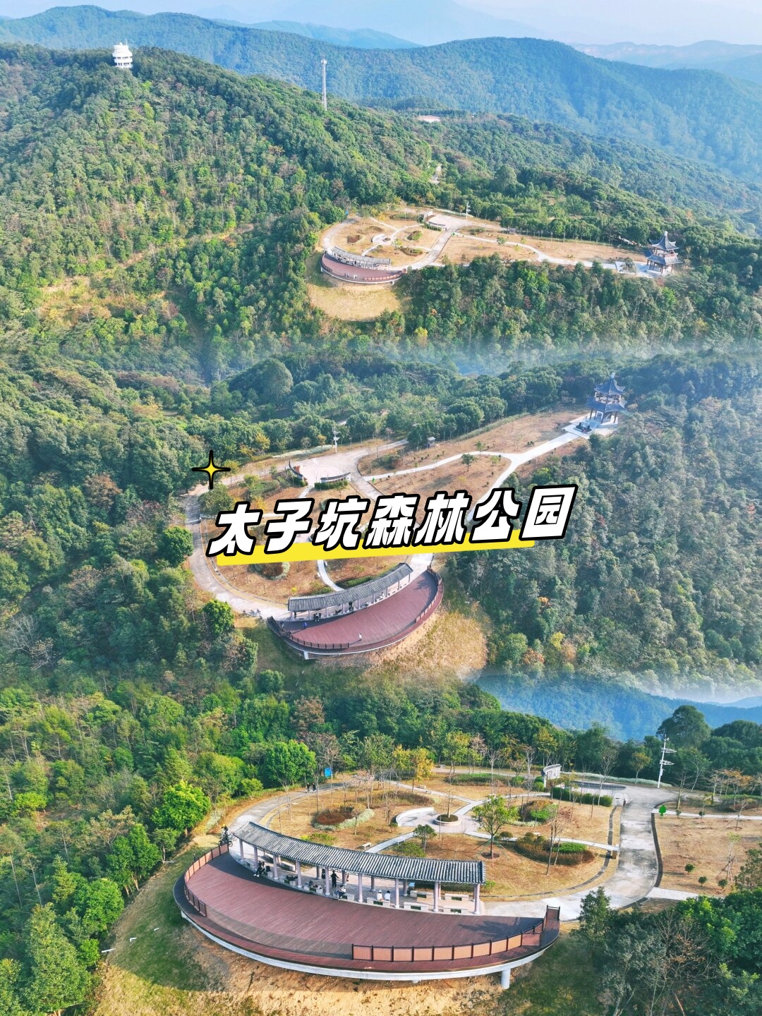 太子坑森林公园 在喧嚣的城市@雨婷爱户外的动态