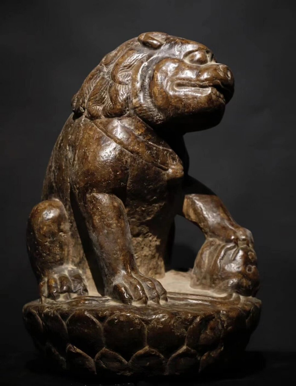 我最近收藏的宝贝——元代的青石狮子  这尊青石狮子高达 60cm,直径