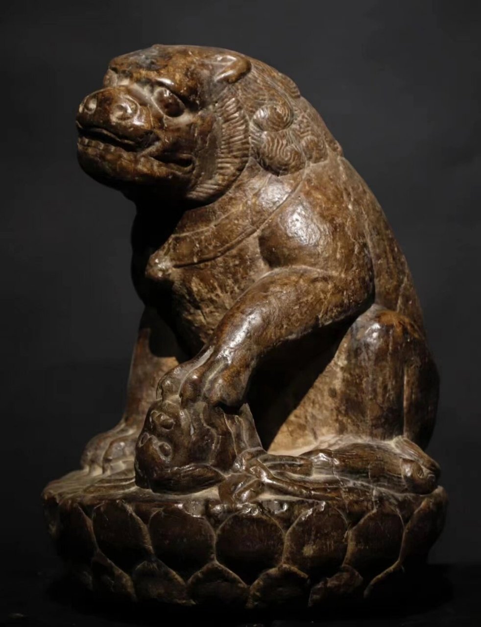 我最近收藏的宝贝——元代的青石狮子  这尊青石狮子高达 60cm,直径