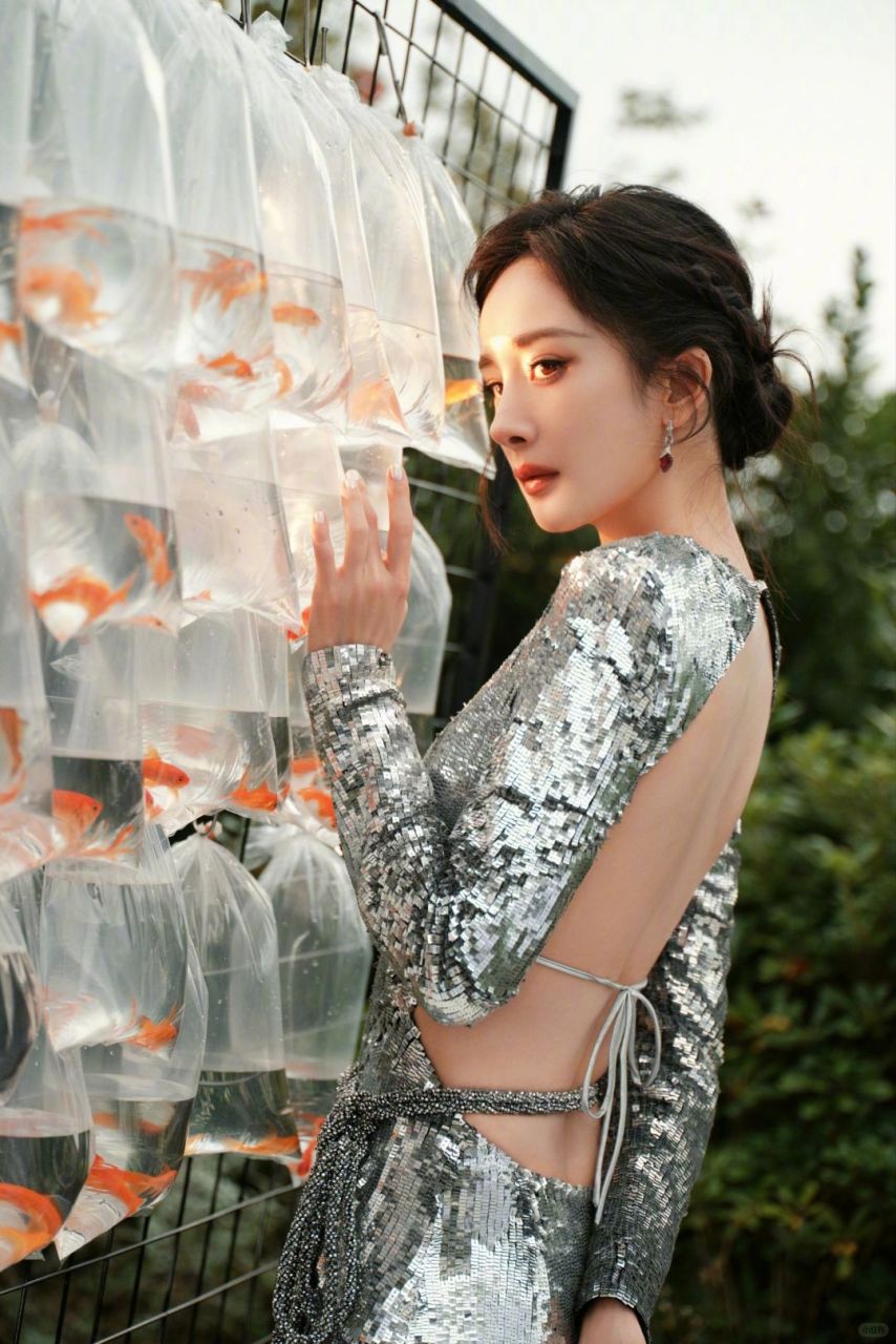 杨幂身着幂露背晚礼服熠熠生辉,典雅与性感并存  杨幂露背晚礼服在