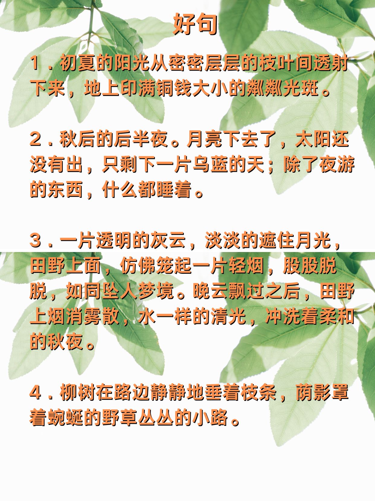 十万个为什么好词好句大全1000个为什么在线