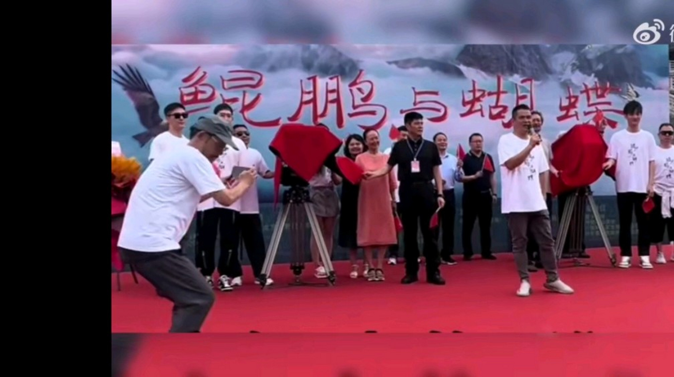 张翰工作室起诉昕影影业# 《鲲鹏与蝴蝶》这个项目刚开始就特别搞笑