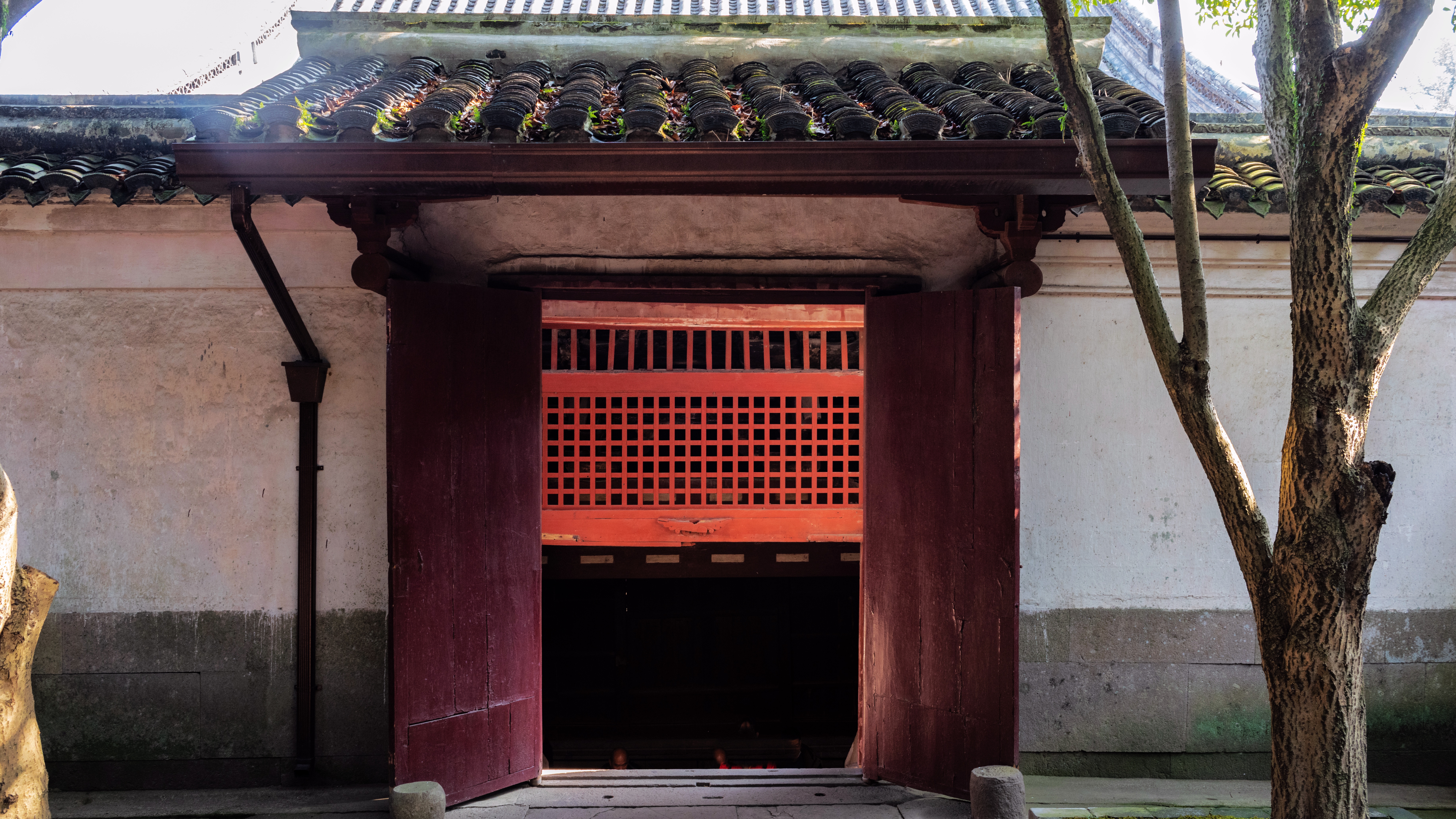 宁波保国寺:一个被低估的4a景区,古建筑的"活化石"