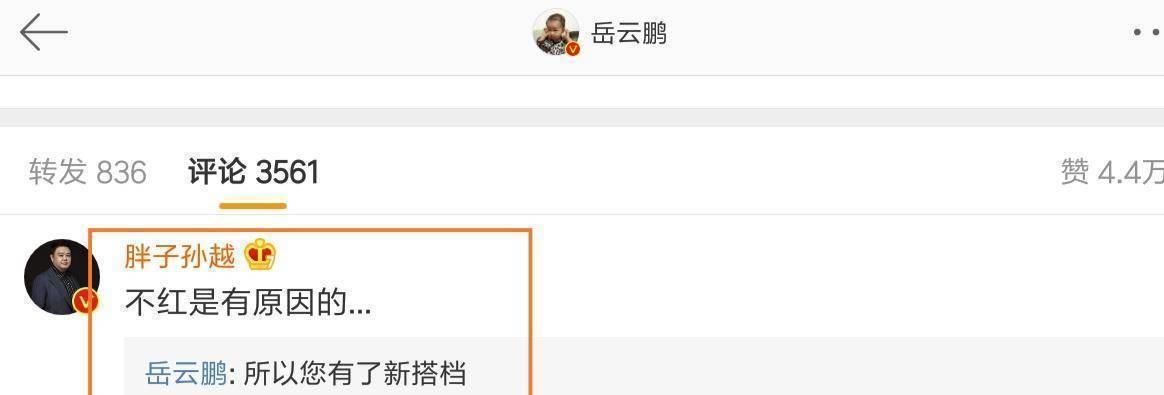 继战绩图后,岳云鹏再出年度总结,最后一项真的不能忍