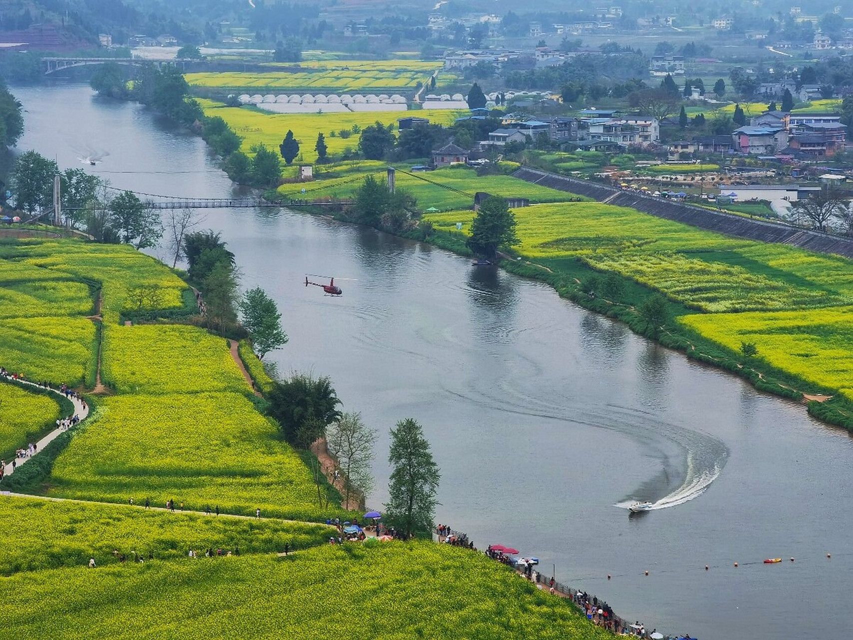 西南地区最大的油菜花观赏地是陈抟故里(油菜花)景区,位于重庆市潼南