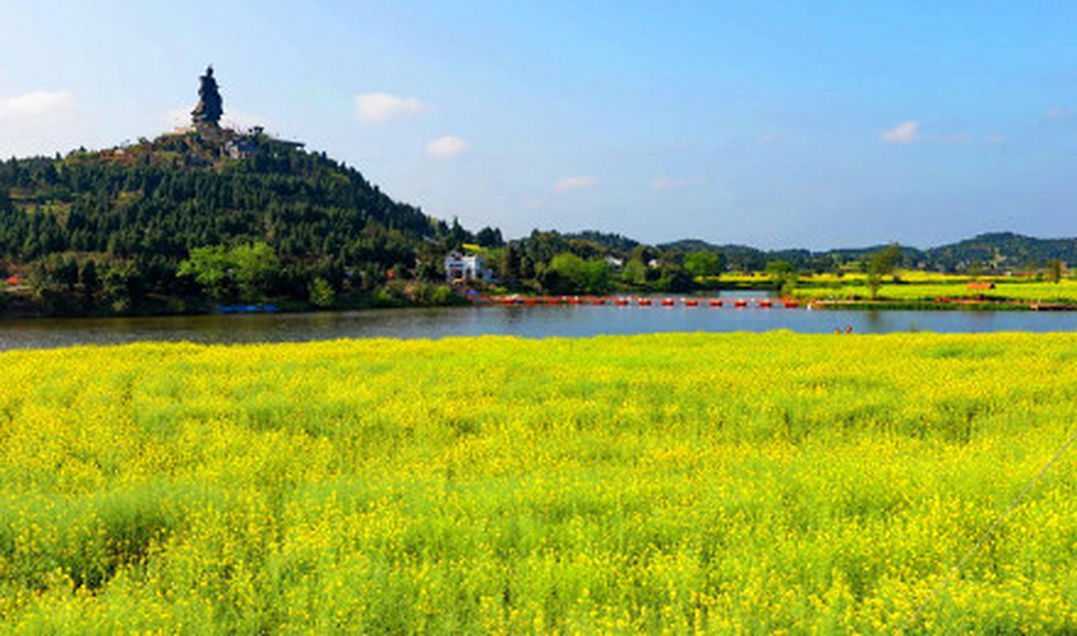 西南地区最大的油菜花观赏地是陈抟故里(油菜花)景区,位于重庆市潼南