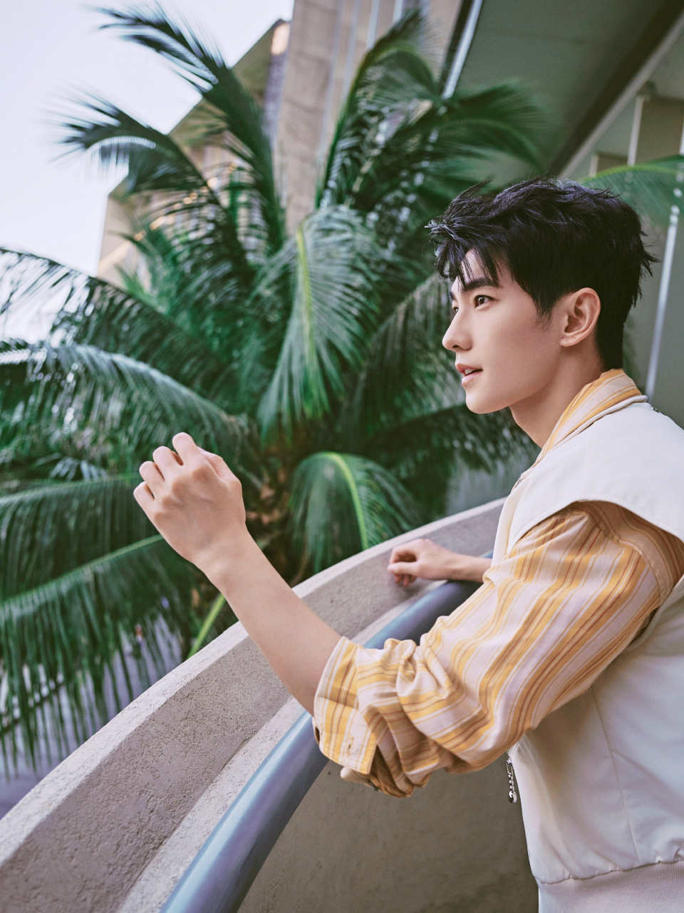 杨洋侧颜好让人着迷,这组图有夏天微风的感觉