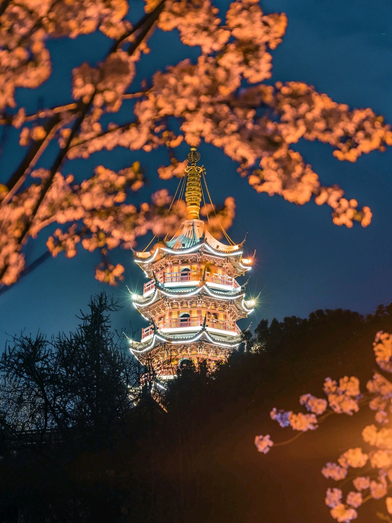 南京之春:鸡鸣寺下的樱花之约