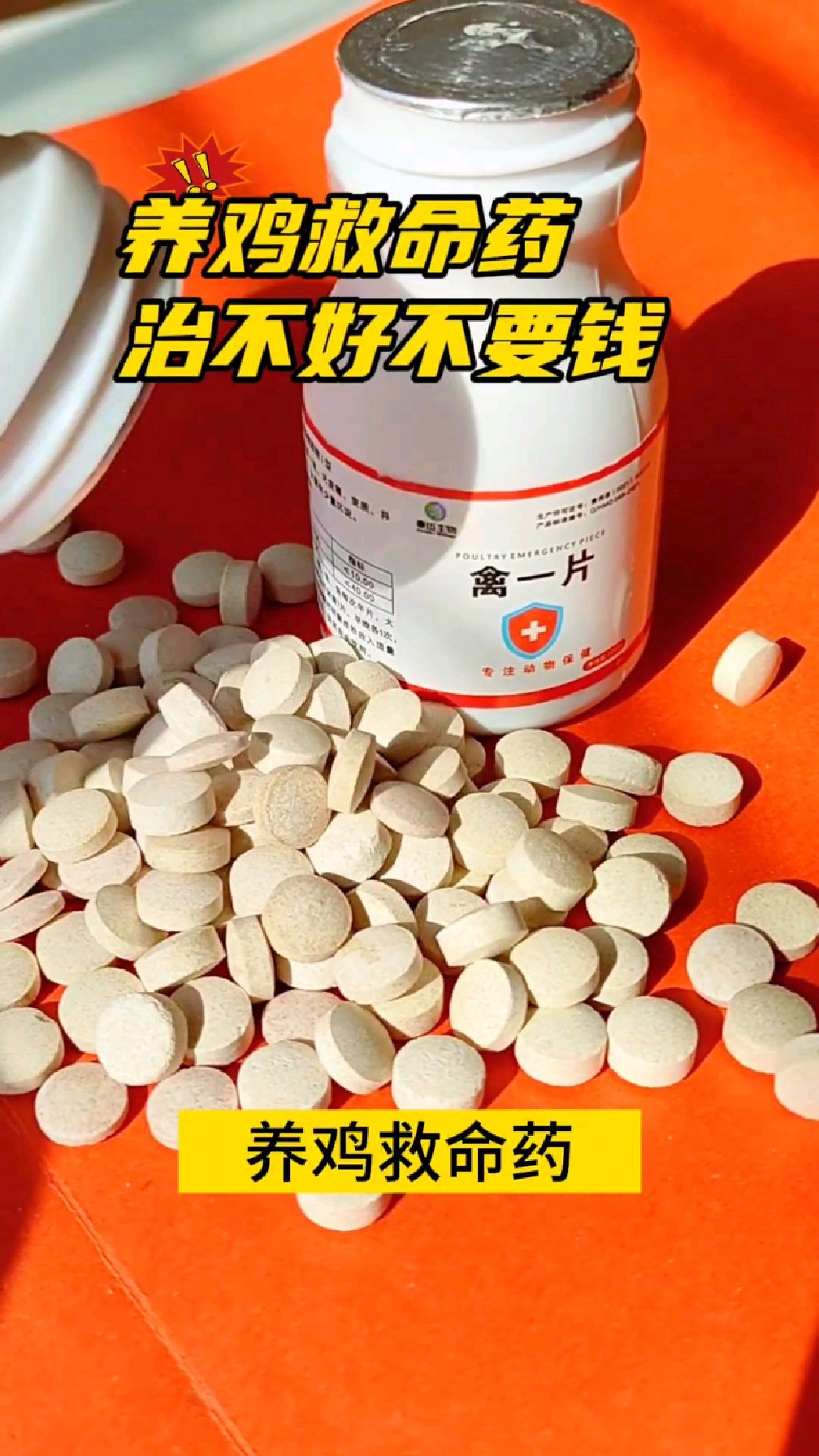 养鸡救命药,关键时刻很有效!