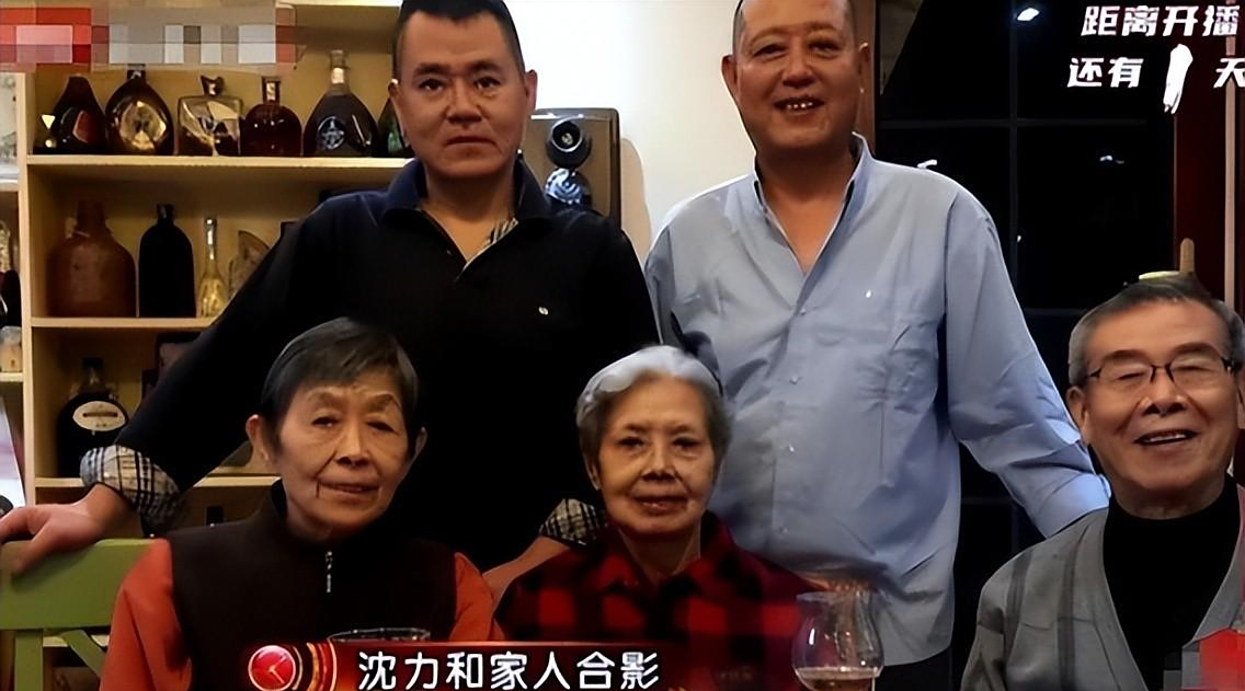 回顾沈力爱情事业双丰收唯独儿子成遗憾