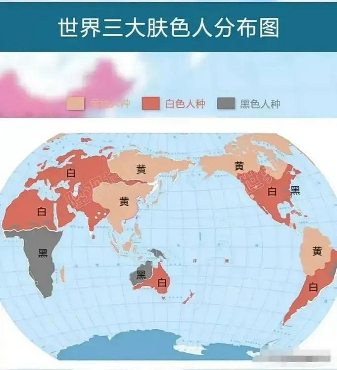 世界人种排名