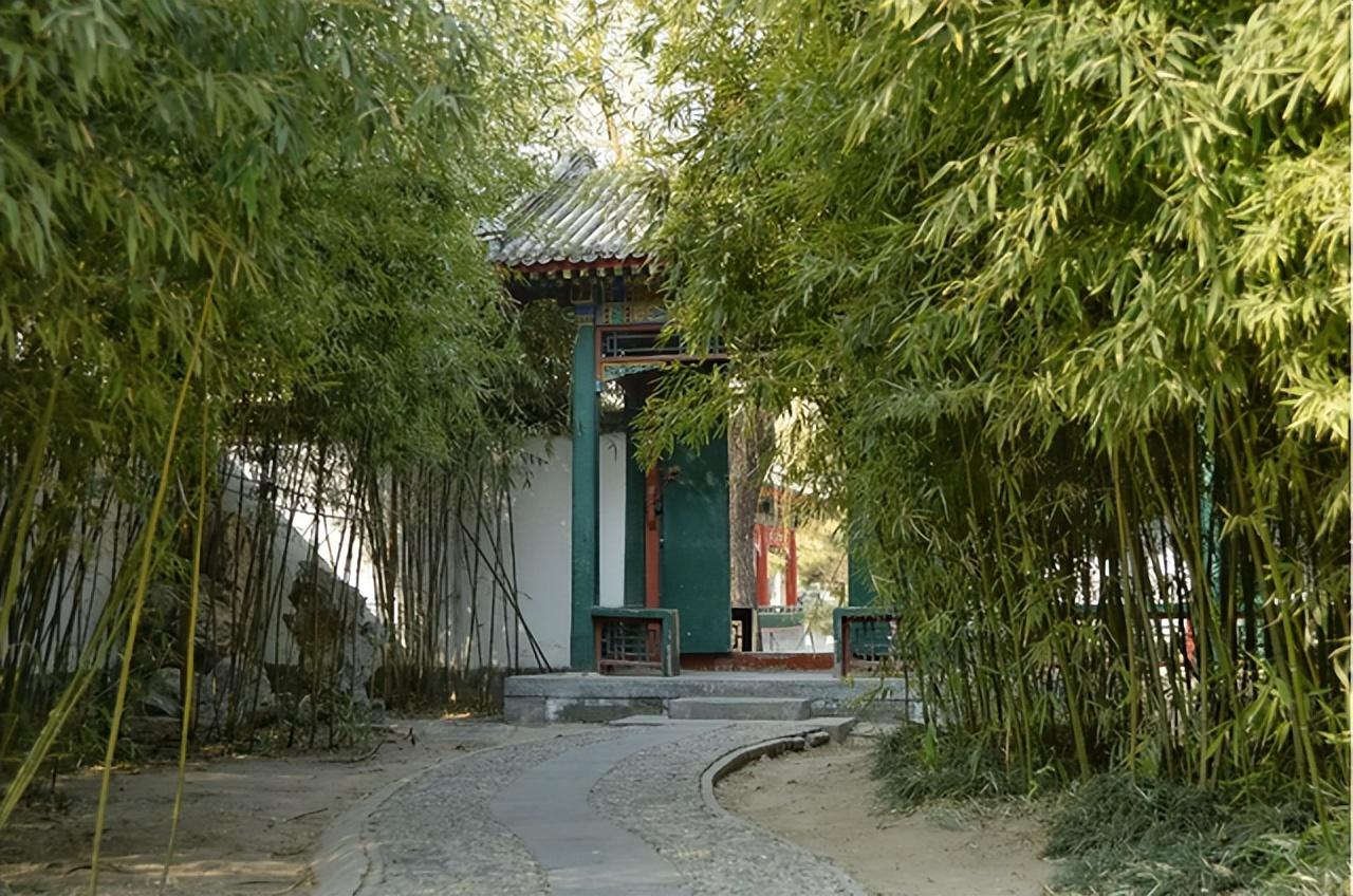 贾探春的结局有多荣耀刘姥姥看出了全部贾母却满心的怜悯