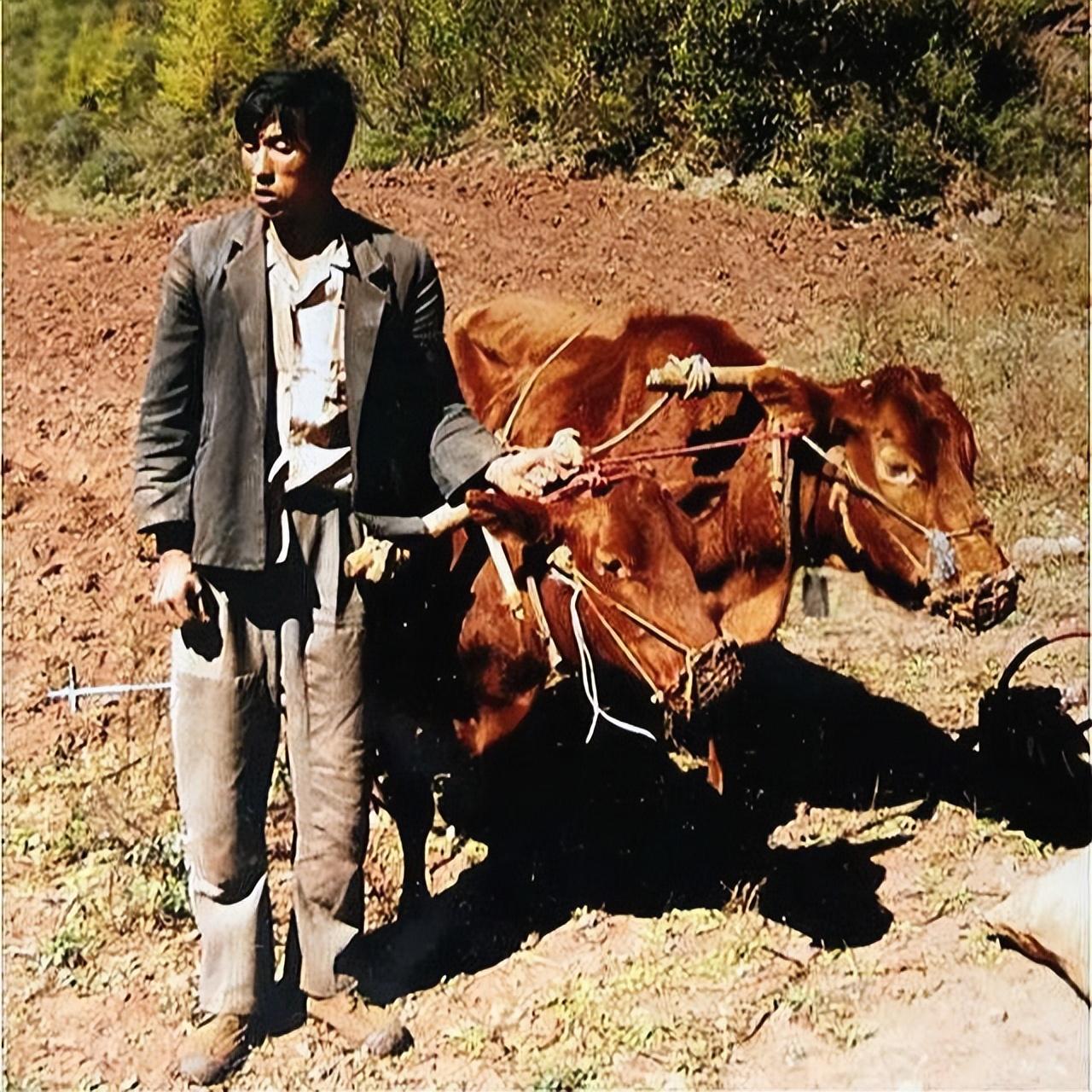 82年河南老农捡到一铜片拒绝商贩10万收购上交后成一级国宝