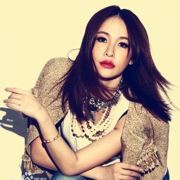 19年换17个男朋友43岁萧亚轩脸尖下巴突网友纵欲过度的代价