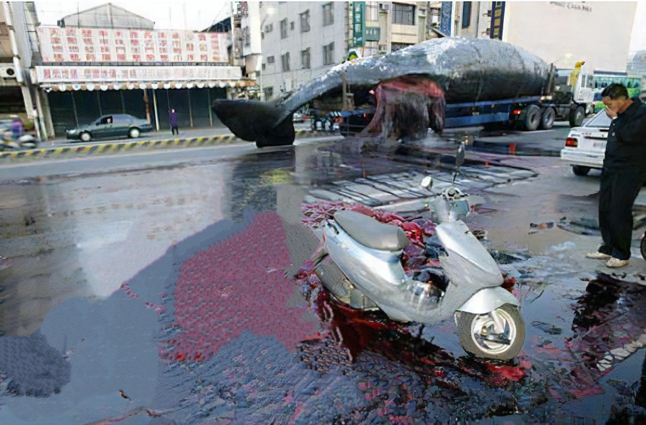 "一鲸爆,万物死"!鲸爆的威力有多恐怖?台湾街头就曾上演过