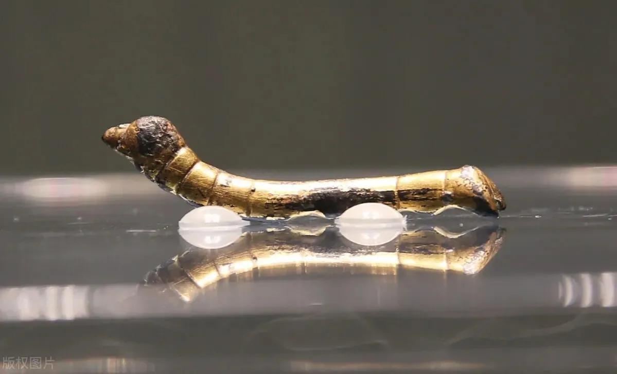 84年一老农淘到金蚕有人出8000不卖借钱上交今成一级文物