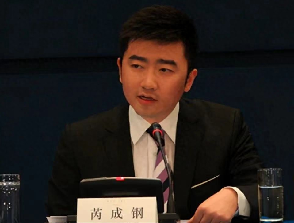 回顾芮成钢曾被誉为央视才子从阶下囚到重获新生经历了什么