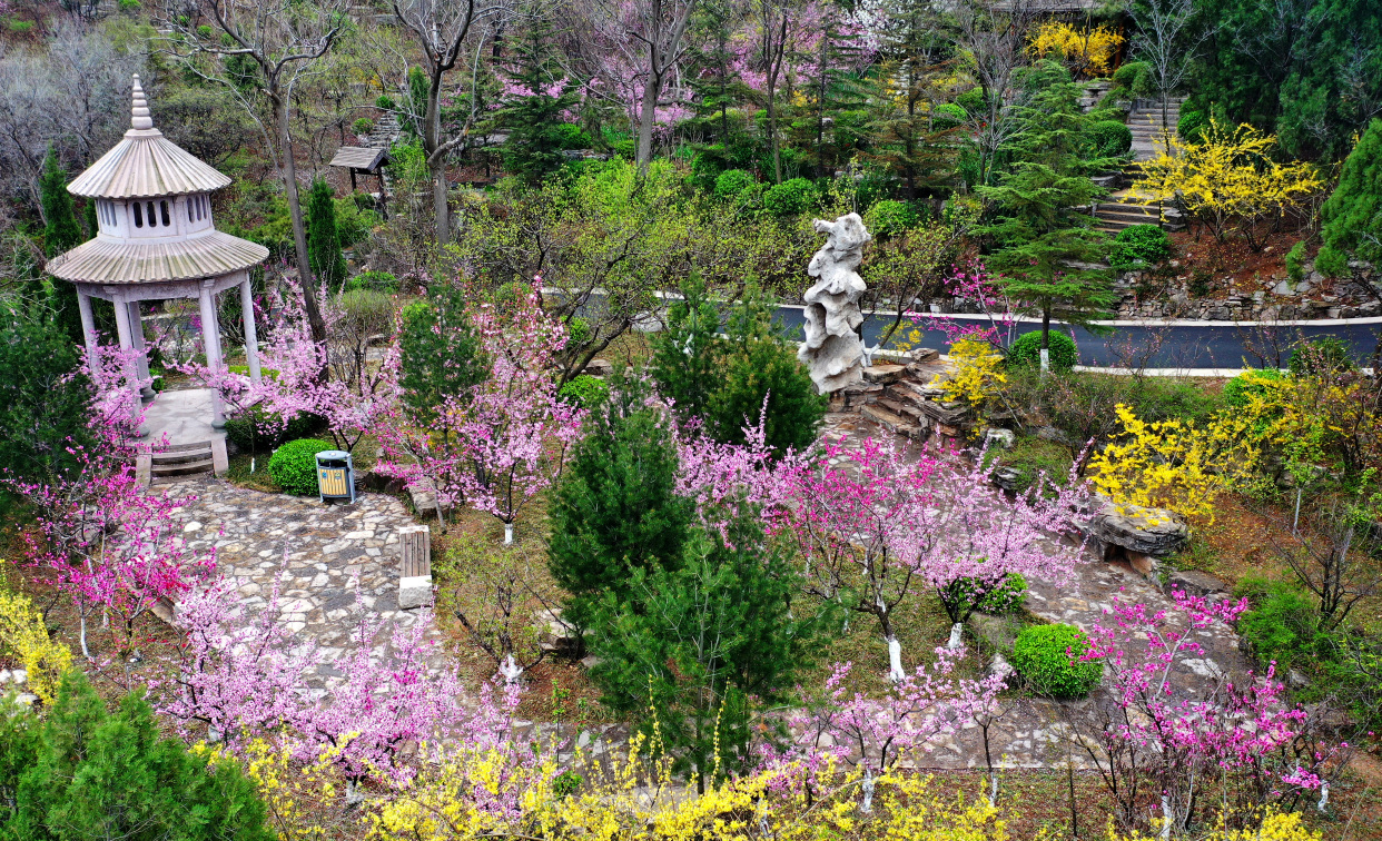 红叶谷景区在3月8日女神节当天推出女性游客免门票游园活动