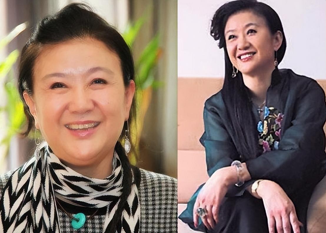 回顾李小玢巅峰时为爱隐退生下两个儿子却离婚风光背后有眼泪