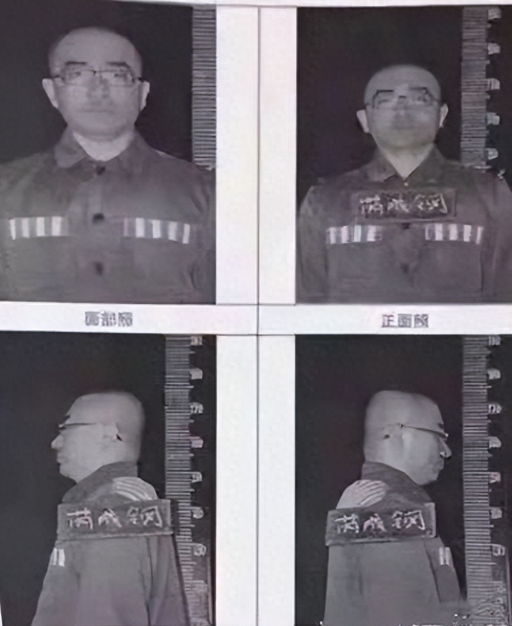 回顾芮成钢曾被誉为央视才子从阶下囚到重获新生经历了什么