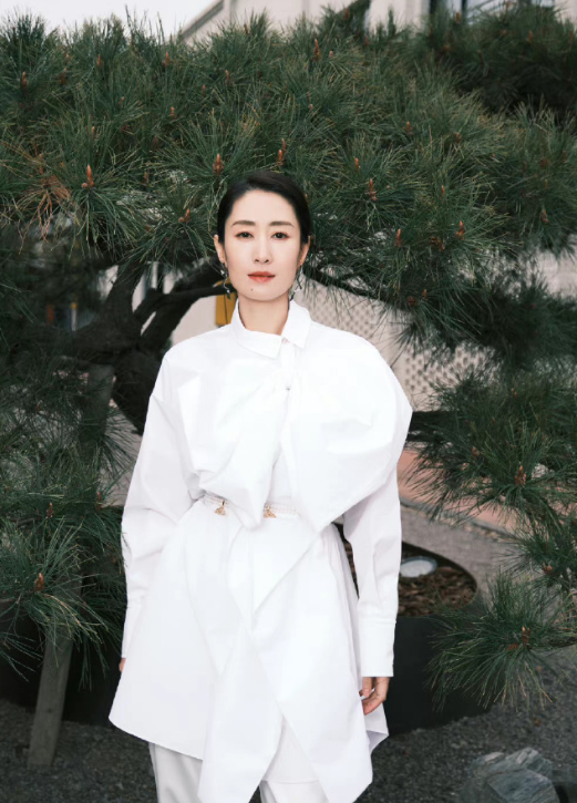 回顾刘敏涛感谢当初前夫的满脸嫌弃才成全我如今的双重幸福