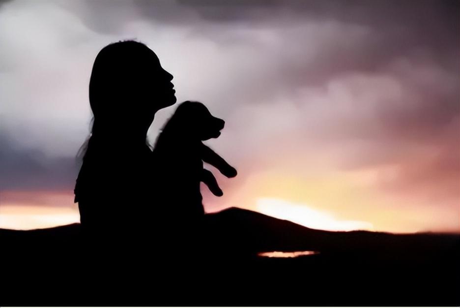 2010年成都女孩养狼做儿子11年后结局令人感动