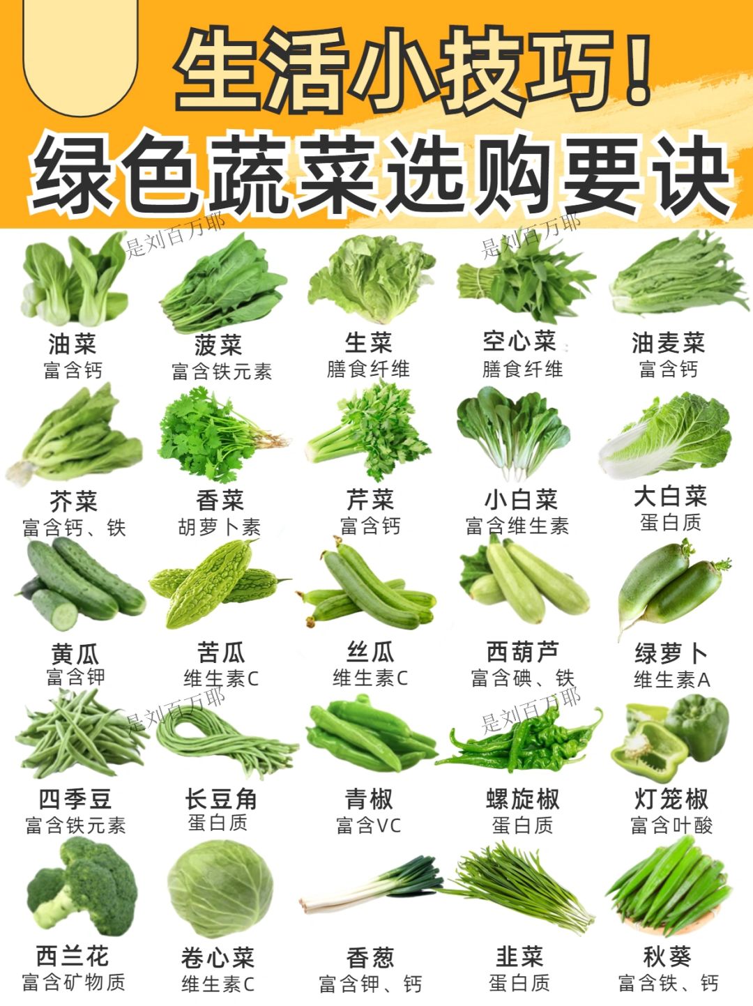 常见的蔬菜种类100种图片