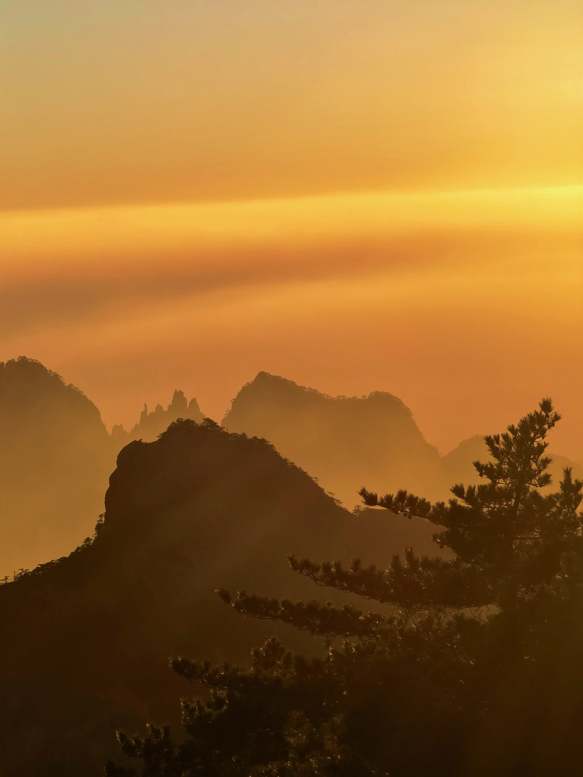 那奇峰异石,云雾缭绕的美景,让我为之倾倒.