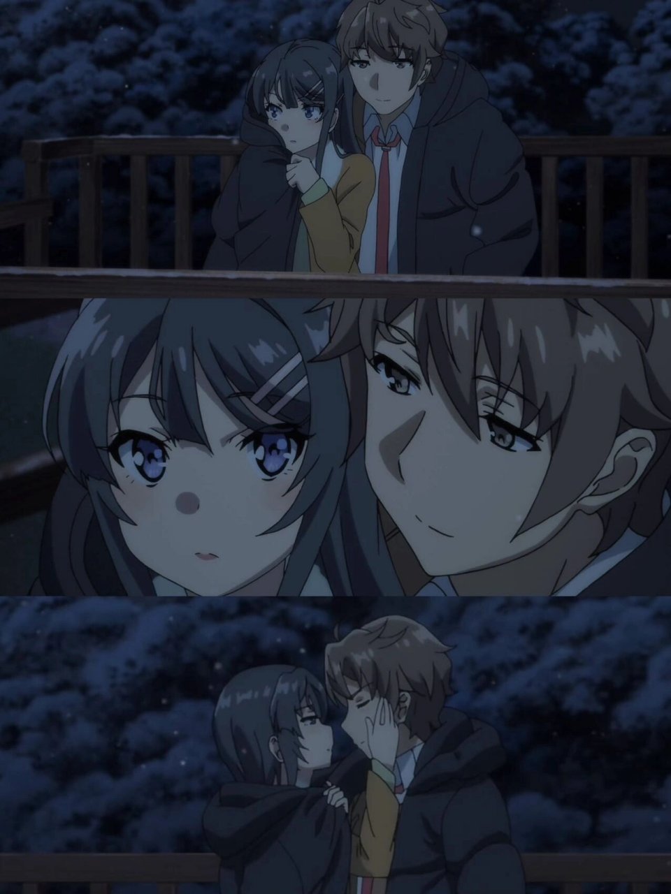 《青春猪头少年不会梦到兔女郎学姐》 	  故事是这样的,男主梓川咲太