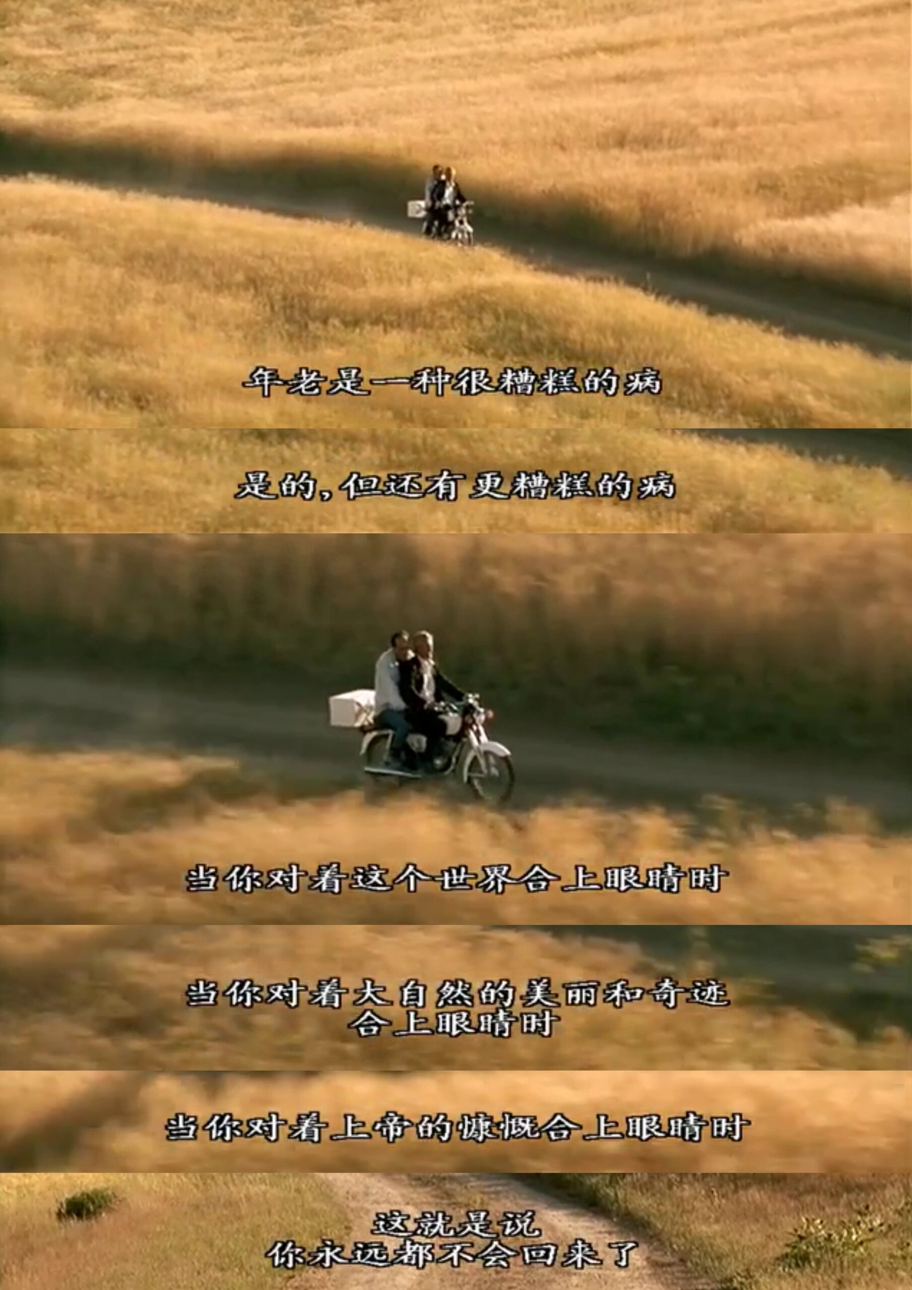 大家好,今天我想和大家分享一部非常特别的电影