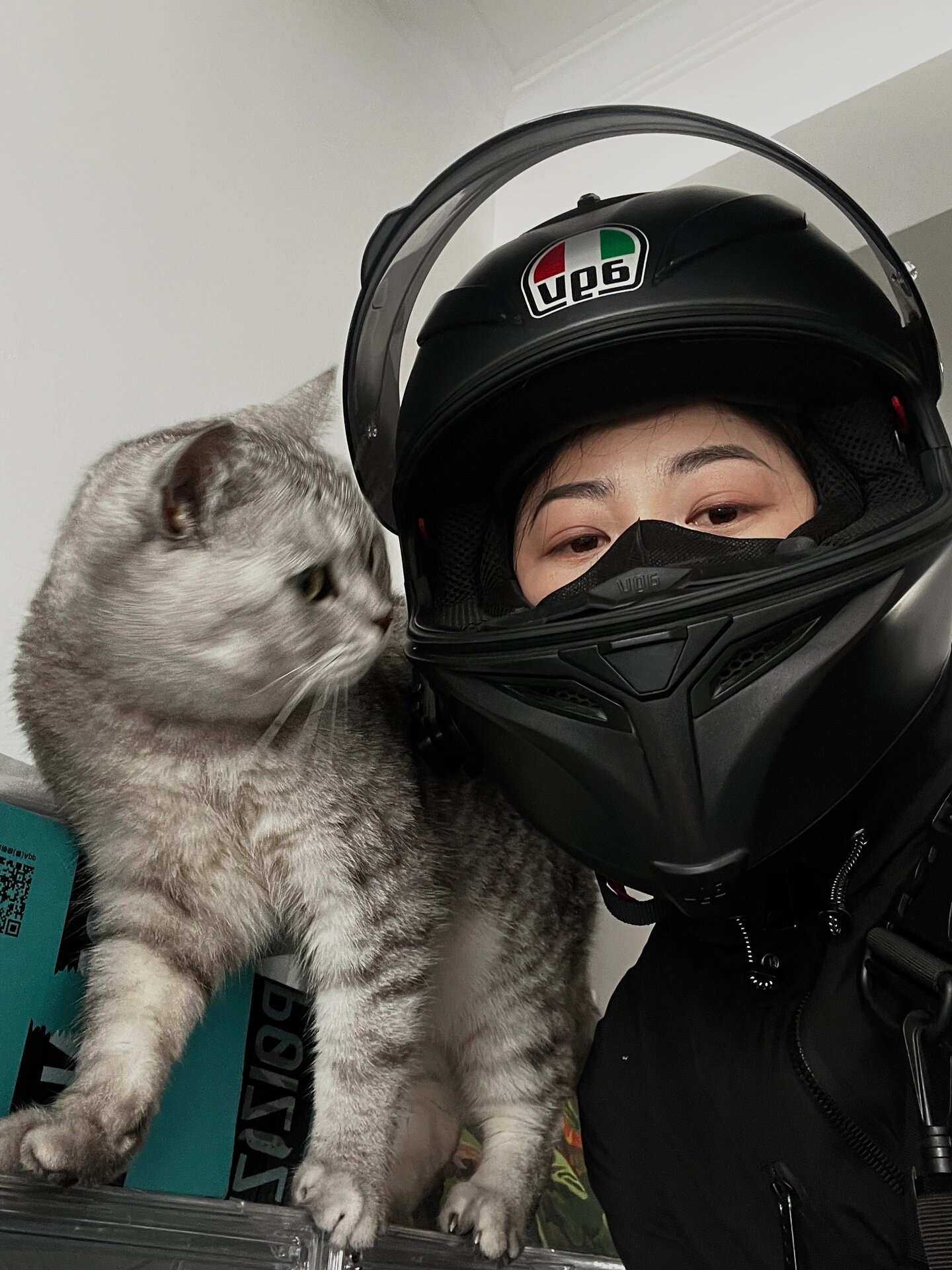 你看他满眼都是铲屎官  我家的小猫咪,总是那么可爱.