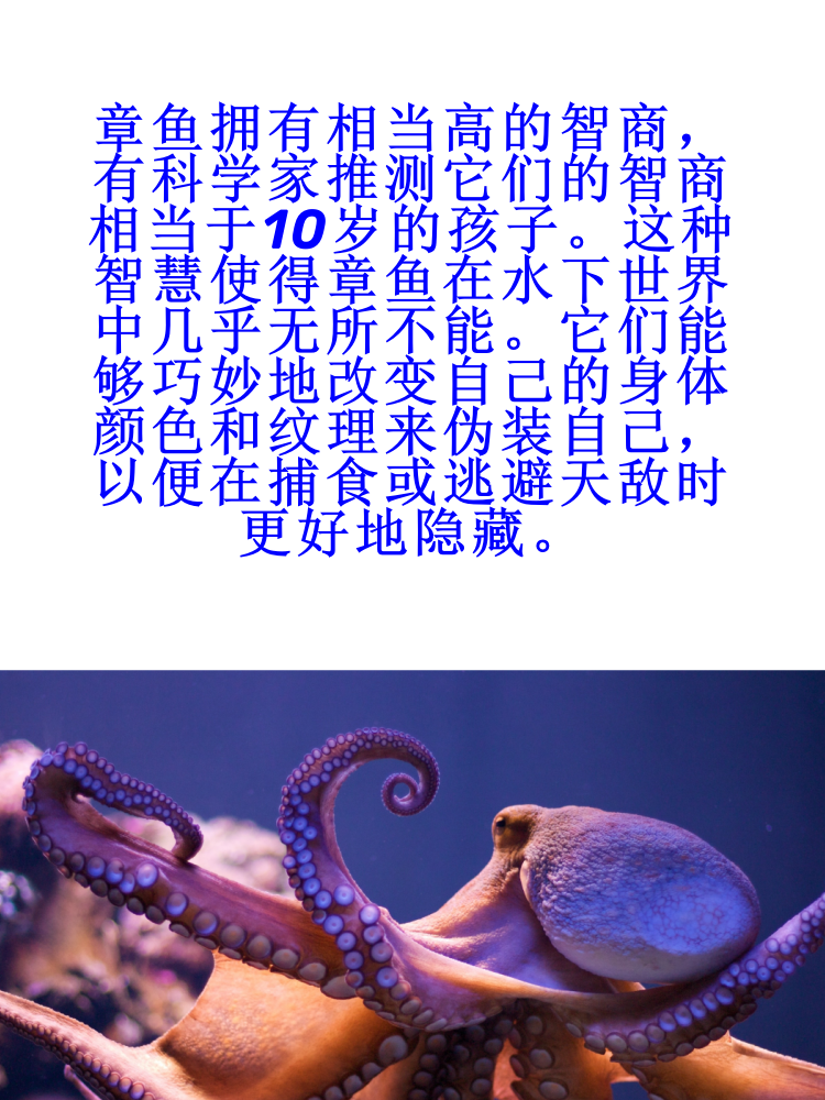 有人说过这么一句话:"要是给章鱼足够的时间,它们说不定能统治地球