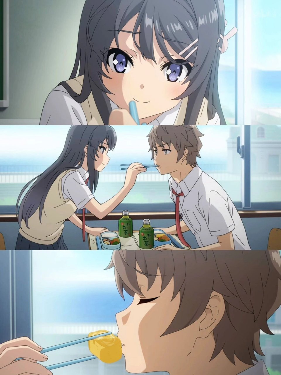 《青春猪头少年不会梦到兔女郎学姐》 	  故事是这样的,男主梓川咲太