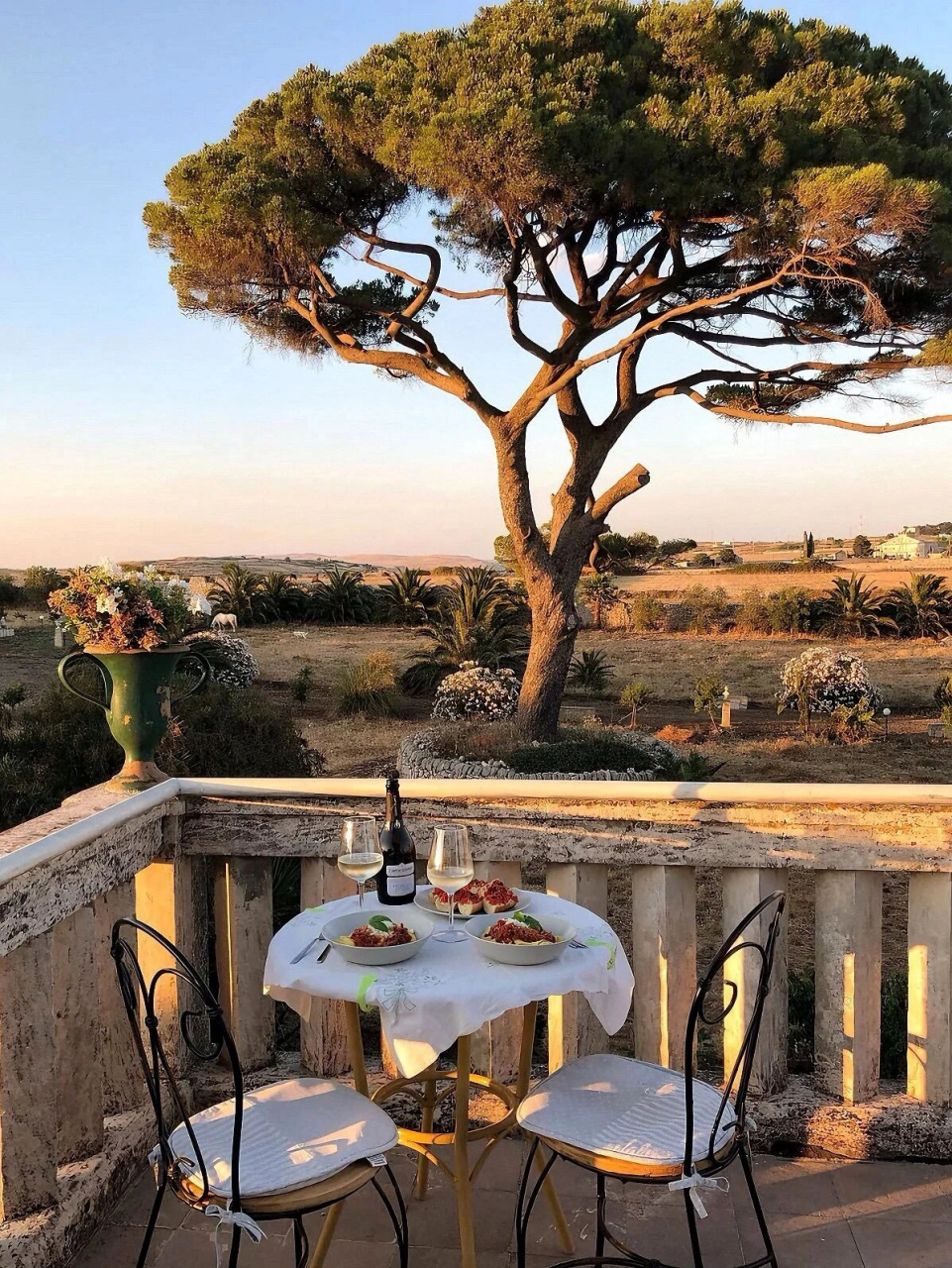 今天想给大家盘点一下我超爱的3家年度意大利西西里民宿,每一家都是