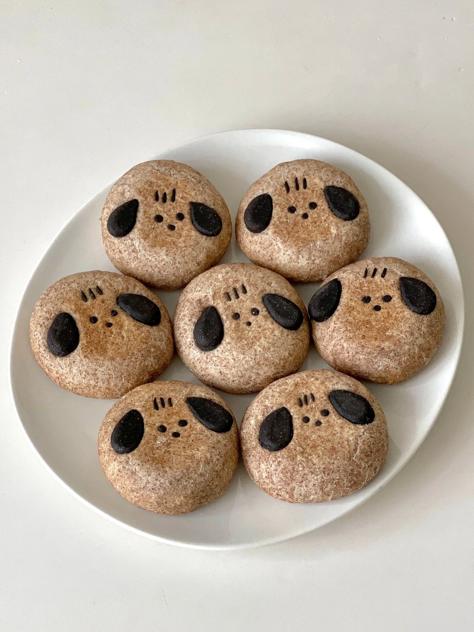 可爱的帕恰狗,一口气做了两盘!