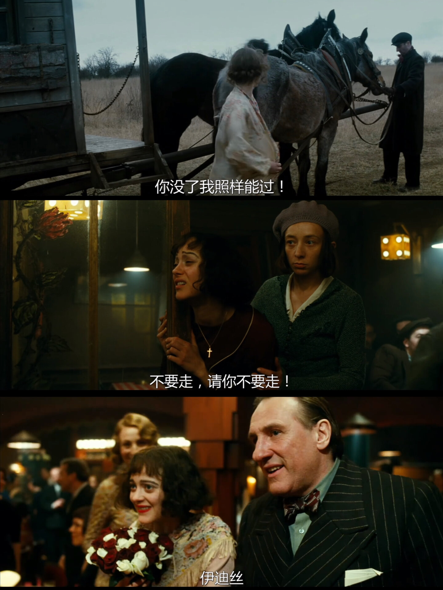 这部电影你一定要看  《玫瑰人生》,一部让我感触颇深的电影.