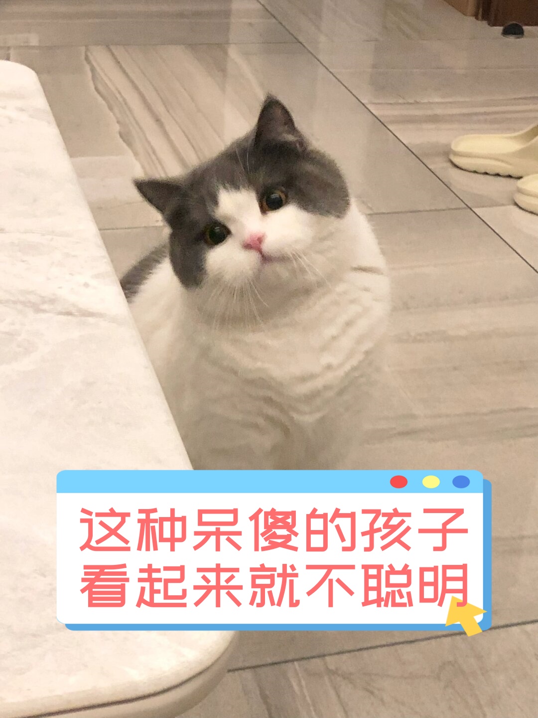 这种呆傻的孩子看起来就不聪明