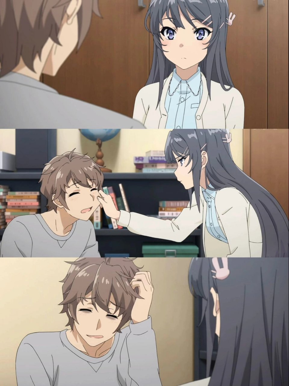 《青春猪头少年不会梦到兔女郎学姐》 	  故事是这样的,男主梓川咲太