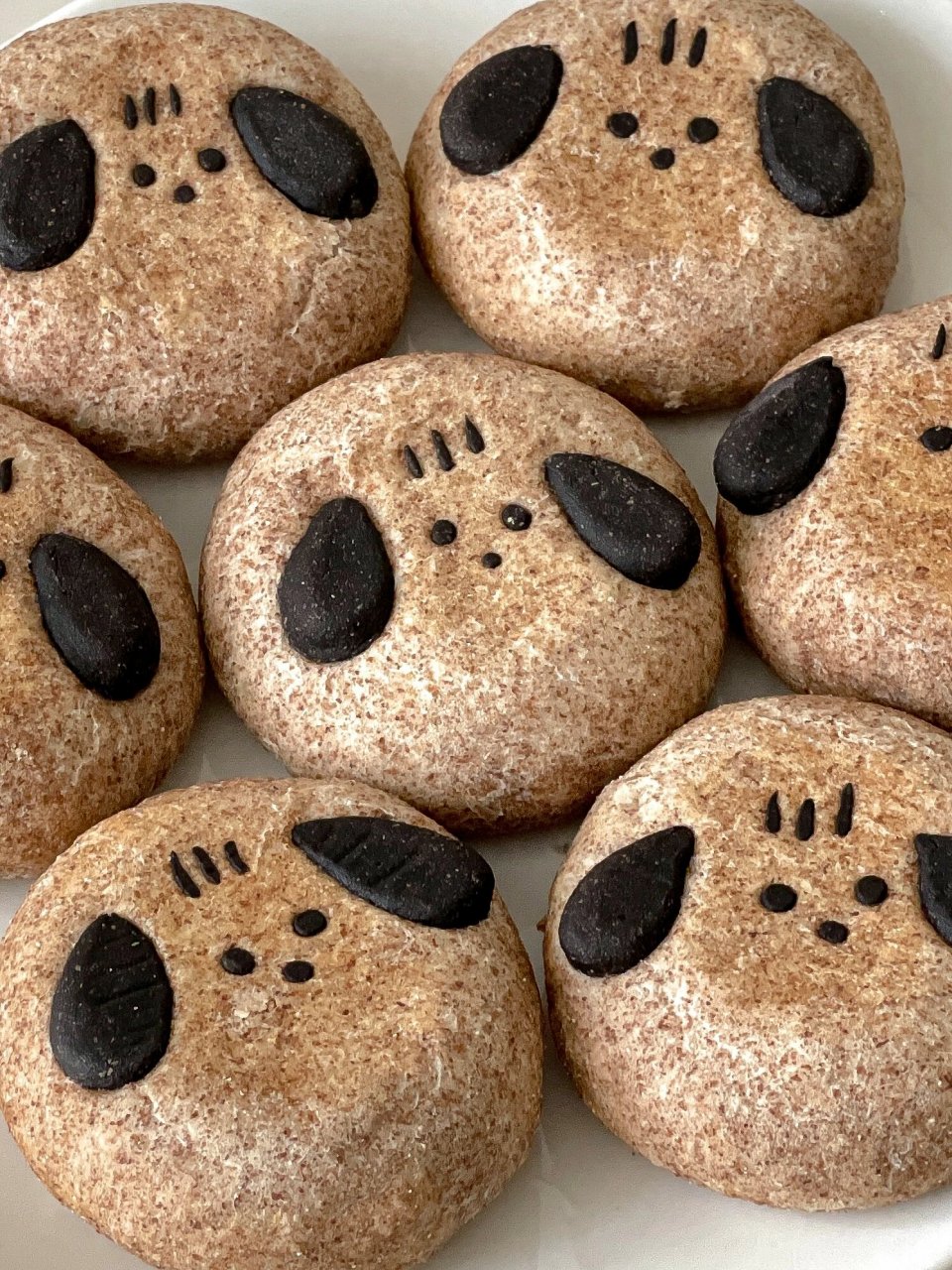 可爱的帕恰狗,一口气做了两盘!