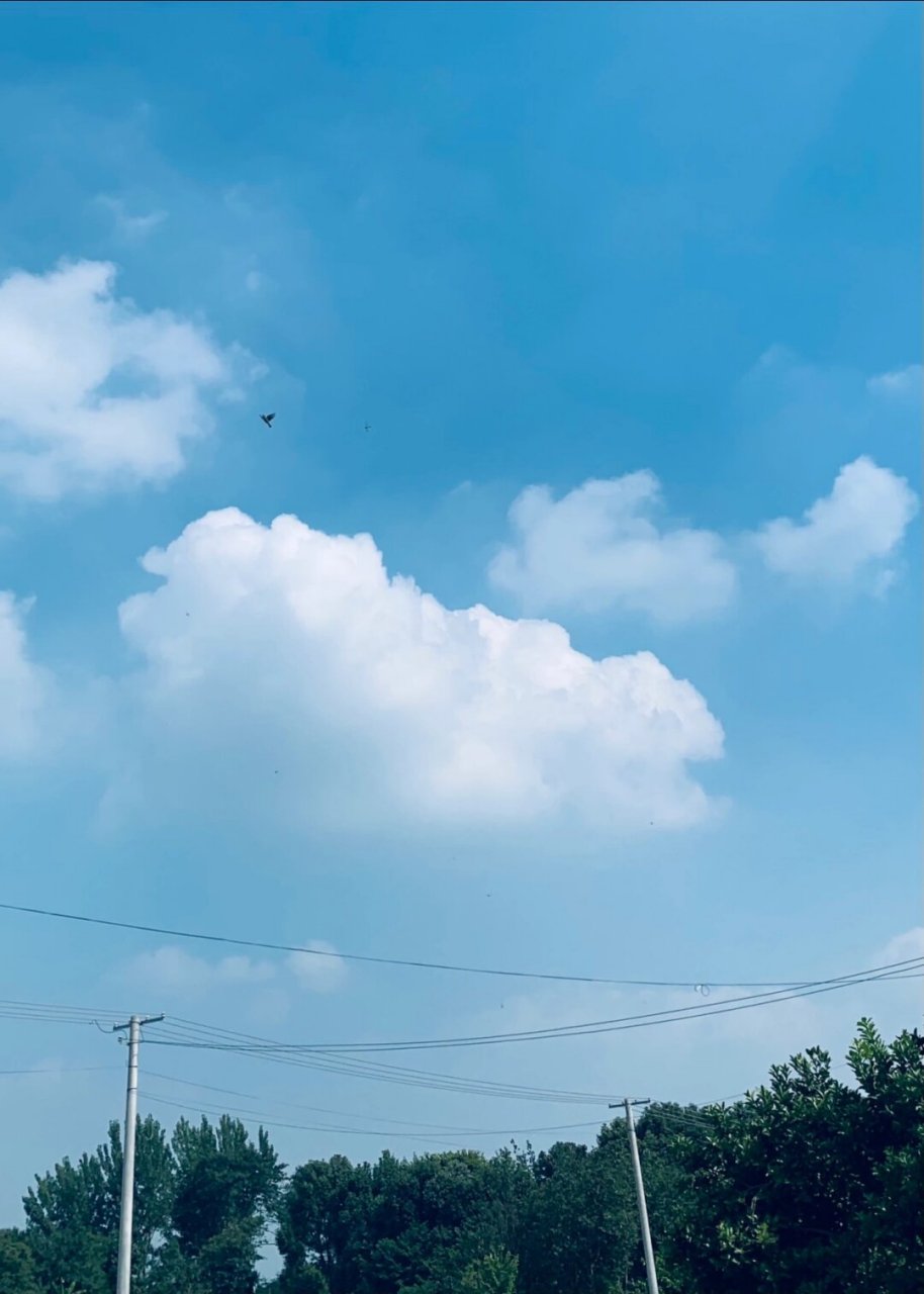 只要天气好的晴天都喜欢看天上的云  天空的云朵,每朵都有独特的姿态