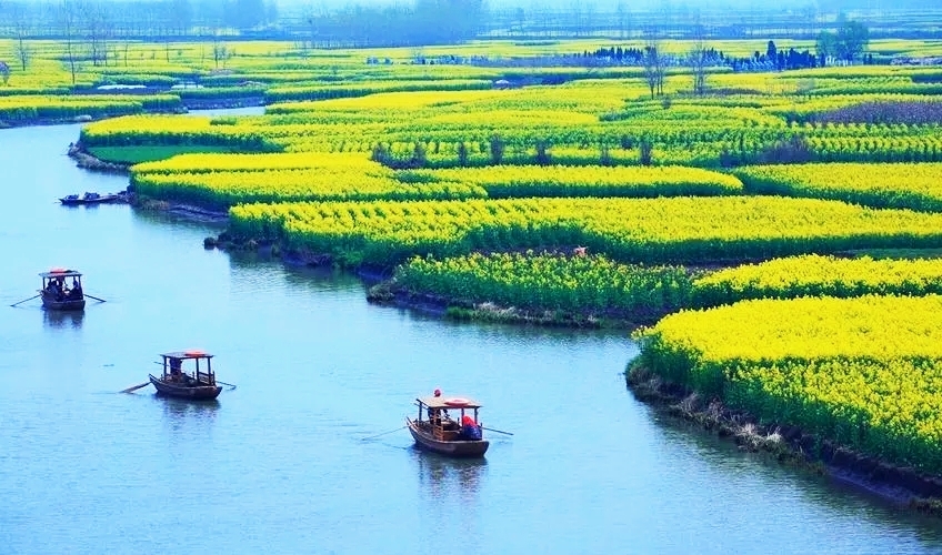 泰州溱湖湿地公园:自然与人文的和谐交响