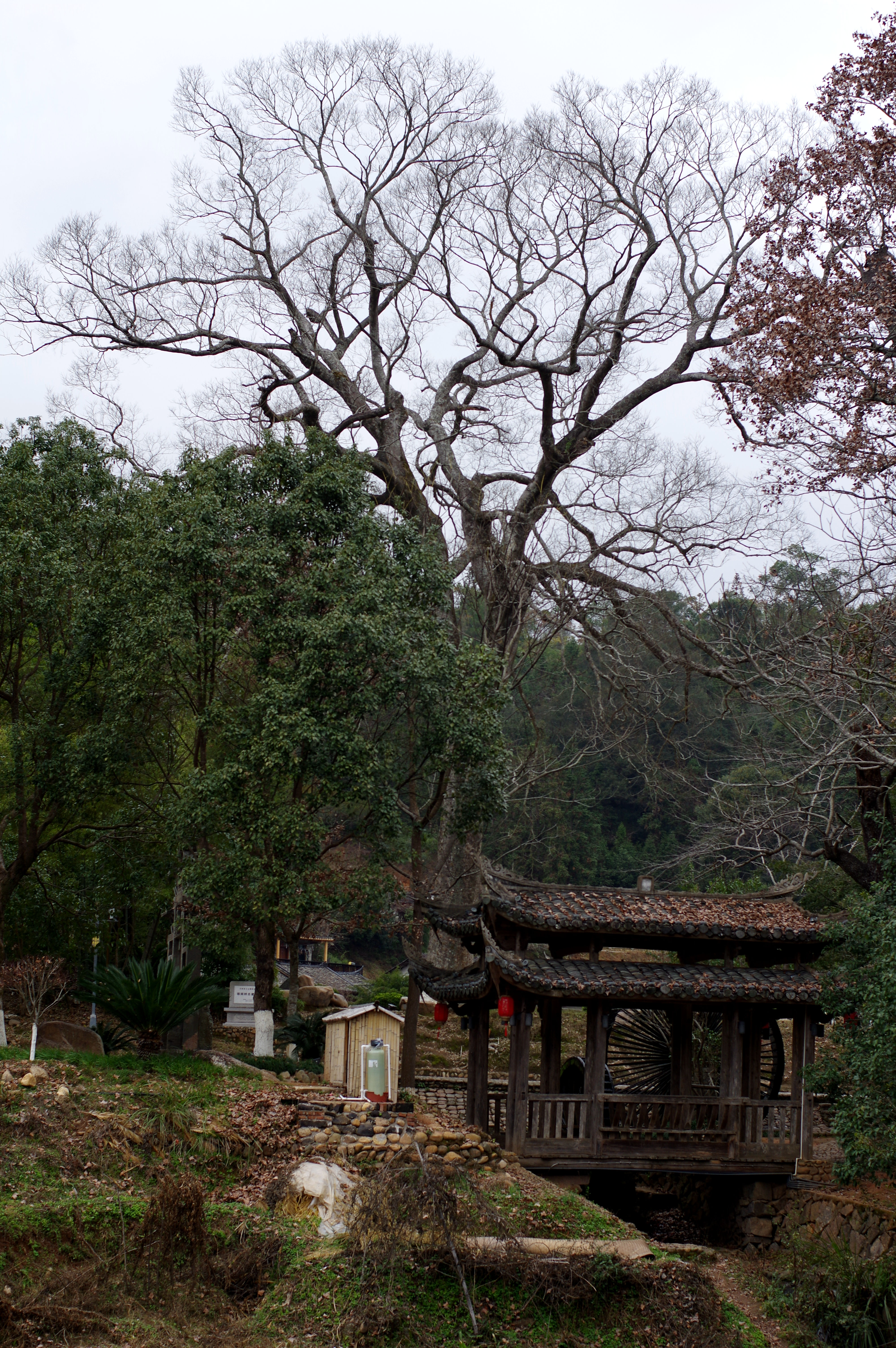 福建连城县培田村