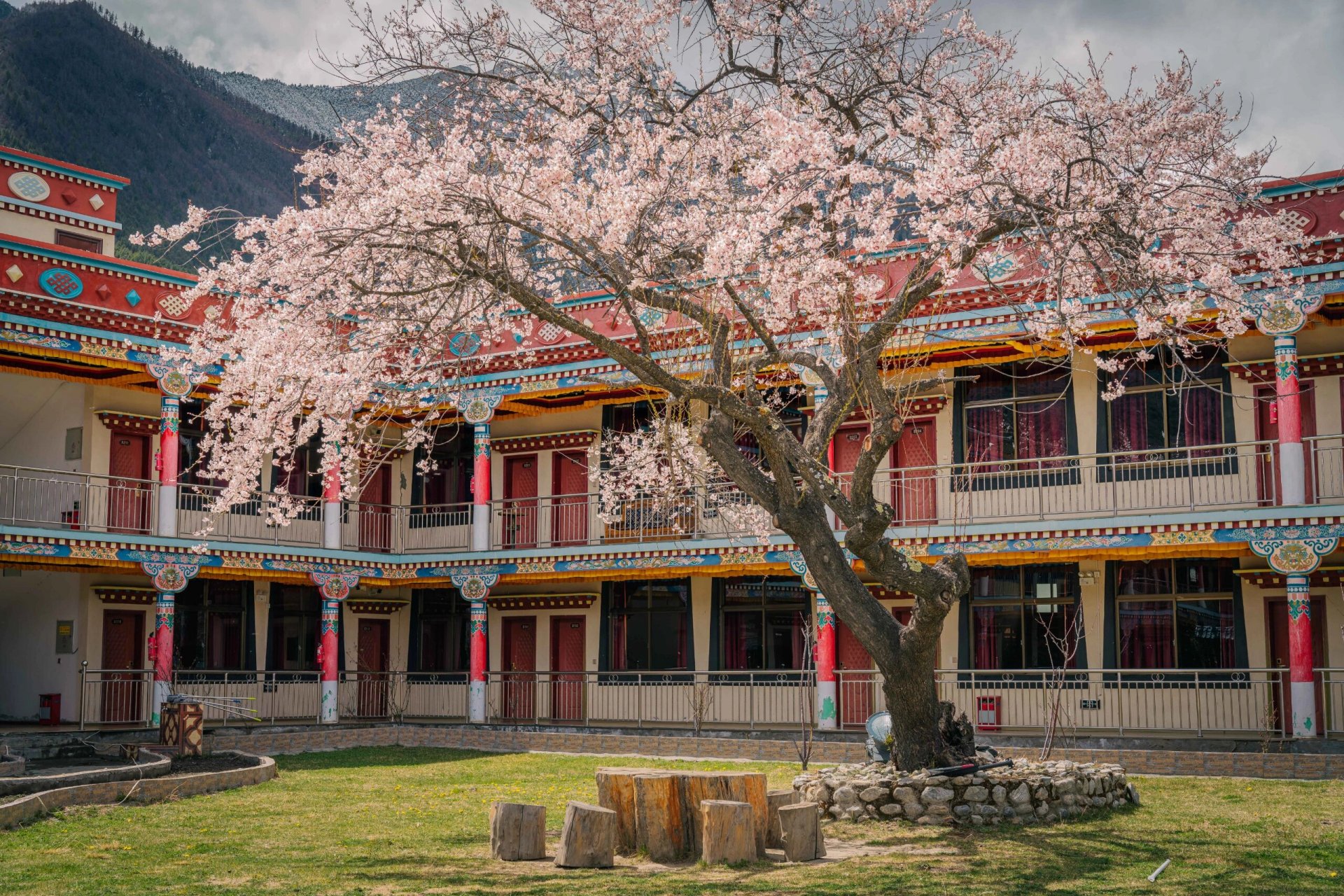 林芝桃花谷图片